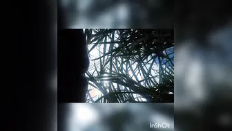 Married Woman Fucked In The Field During Harvest Time