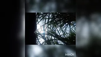 Married Woman Fucked In The Field During Harvest Time