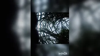 Married Woman Fucked In The Field During Harvest Time
