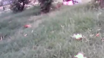 Indian Milf Getting Fucked Hard By Younger Boyfriend Now