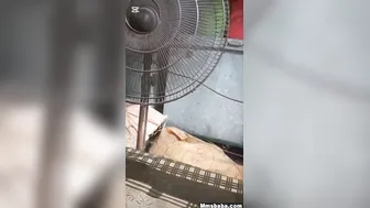 Naughty Paki Spouse Cheating Passionately Riding Her Secret Lover Hard