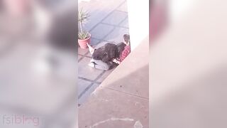 Caught Sucking, Timid Desi Girl Blows BF in School Break, Video Leaks