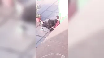 Caught Sucking, Timid Desi Girl Blows BF in School Break, Video Leaks