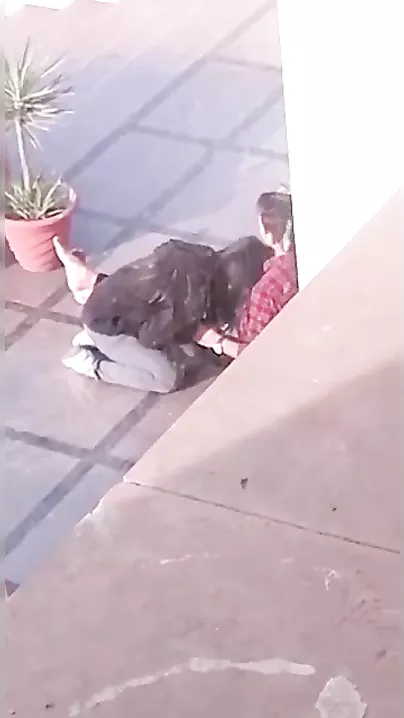 Caught Sucking, Timid Desi Girl Blows BF in School Break, Video Leaks