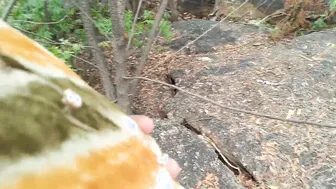 Licking Her Breasts And Pussy Outside Viral Desi Video