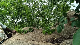 Fucking His Stepsister Hardcore Outside In The Garden