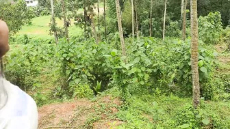 Indian Couple Having Hot Sex Together In Hotel Room Tonight