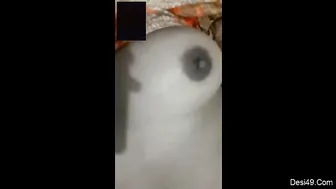 GF Stripping On Video Call Showing Her Tits And Pussy