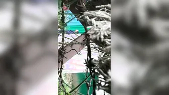 College Lovers Kissing And Making Out Outdoors Caught On Cam