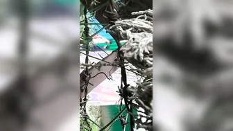 College Lovers Kissing And Making Out Outdoors Caught On Cam