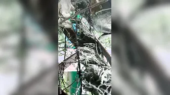 College Lovers Kissing And Making Out Outdoors Caught On Cam