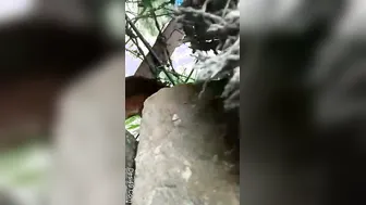 College Lovers Kissing And Making Out Outdoors Caught On Cam