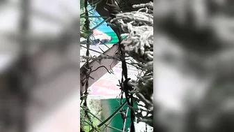 College Lovers Kissing And Making Out Outdoors Caught On Cam