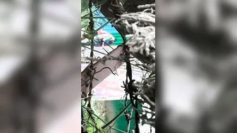 College Lovers Kissing And Making Out Outdoors Caught On Cam