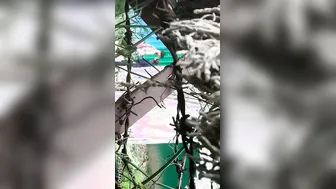 College Lovers Kissing And Making Out Outdoors Caught On Cam