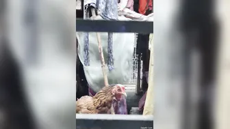 Neighbor Secretly Filming Aunty Changing Her Blouse Next Door
