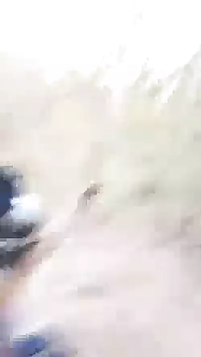 Outdoor naked vagina fucking video