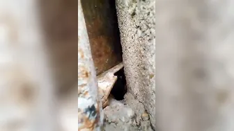 Youthful Desi village wife drilled hard