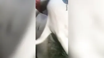 Desi GF Revealing Her Breasts And Hairy Pussy