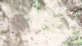 Village Babe Giving Me Head Behind The Barn After Meeting
