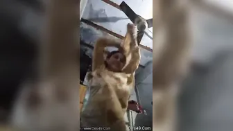 Desi Milf Stripping Completely Naked Talking Dirty In Hindi