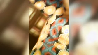 Village Bhabhi Getting Her Big Boobs Sucked By Younger Brother