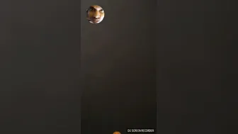 Horny GF Flashing Tits And Fingering Pussy On Video Call