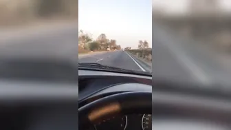 Making Out With My Sexy GF In The Backseat Of The Car