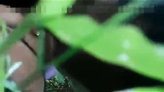 Young Desi Lovers Caught Fucking Outdoors In Hidden Location