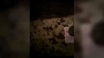 Tamil Babe Showing Off Her Boobs And Teasing Me Before We Fuck