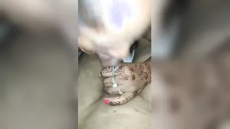 Newly Married Desi Wife Spreading Her Pussy Before Getting Fucked