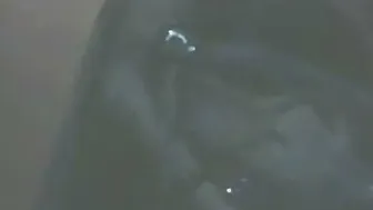 My Hot Married Desi Wife Stripping And Teasing In The Bedroom