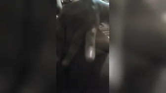 Desi Aunty Letting Me Squeeze Her Boobs Fingering Her Wet Pussy