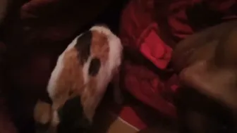 Indian Wife Making New Nude Exposing Selfie Video All Alone