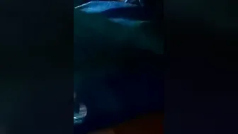 Sexy Babe Getting Her Boobs Pressed And Clothes Pulled Off Rough