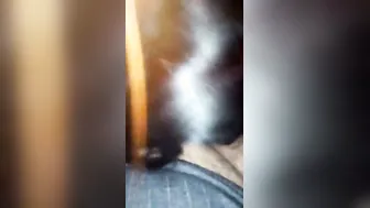 Hungry Punjabi Girl Sucking Cock Like Candy In Hotel Room Late