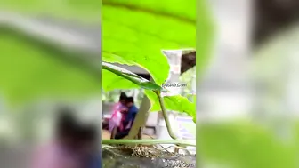 Desi Lovers Getting Wild In The Park Hiding From Everyone Nearby