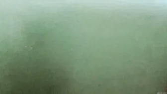 My Cute Desi GF Giving Me Sloppy Blowjob At Home