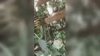 Village GF Letting Lover Film Her Beautiful Bare Tits