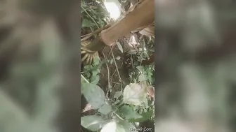 Village GF Letting Lover Film Her Beautiful Bare Tits