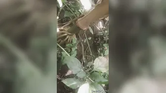 Village GF Letting Lover Film Her Beautiful Bare Tits