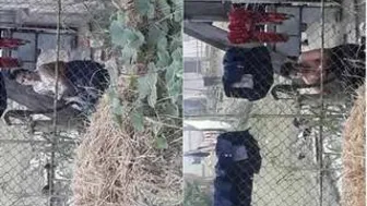 Village Married Woman Bathing Naked Outdoors Filmed By Neighbor