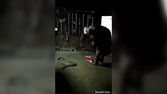 Village Bhabhi Getting Dressed While Hubby Films Her Curves Up Close