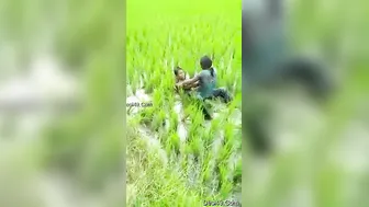 Village Lovers Getting Naughty Outdoors Away From Everyone