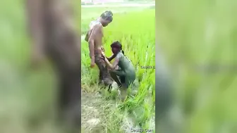 Village Lovers Getting Naughty Outdoors Away From Everyone