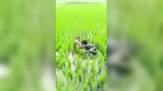 Village Lovers Getting Naughty Outdoors Away From Everyone