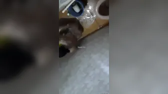 Married Boudi Caught Bathing On Hidden Camera In Desi Bathroom