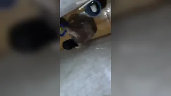 Married Boudi Caught Bathing On Hidden Camera In Desi Bathroom