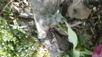 Odia GF Having Outdoor Sex With Her Boyfriend In Village