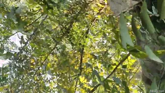 Odia GF Having Outdoor Sex With Her Boyfriend In Village